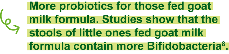 More probiotics for those fed goat milk formula. Studies show that the stools of little ones fed goat milk formula contain more Bifidobacteria.