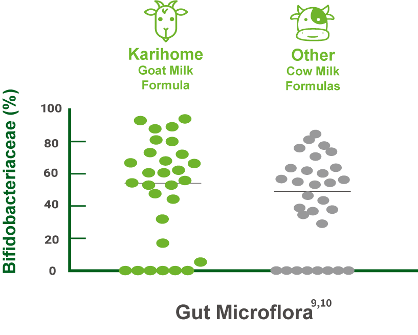 Gut Microflora