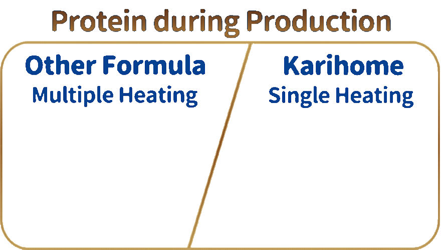 Protein during Production