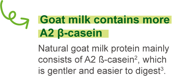 Goat milk contains more A2-type &beta;-casein.