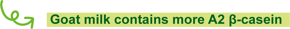 Goat milk contains more A2-type &beta;-casein.
